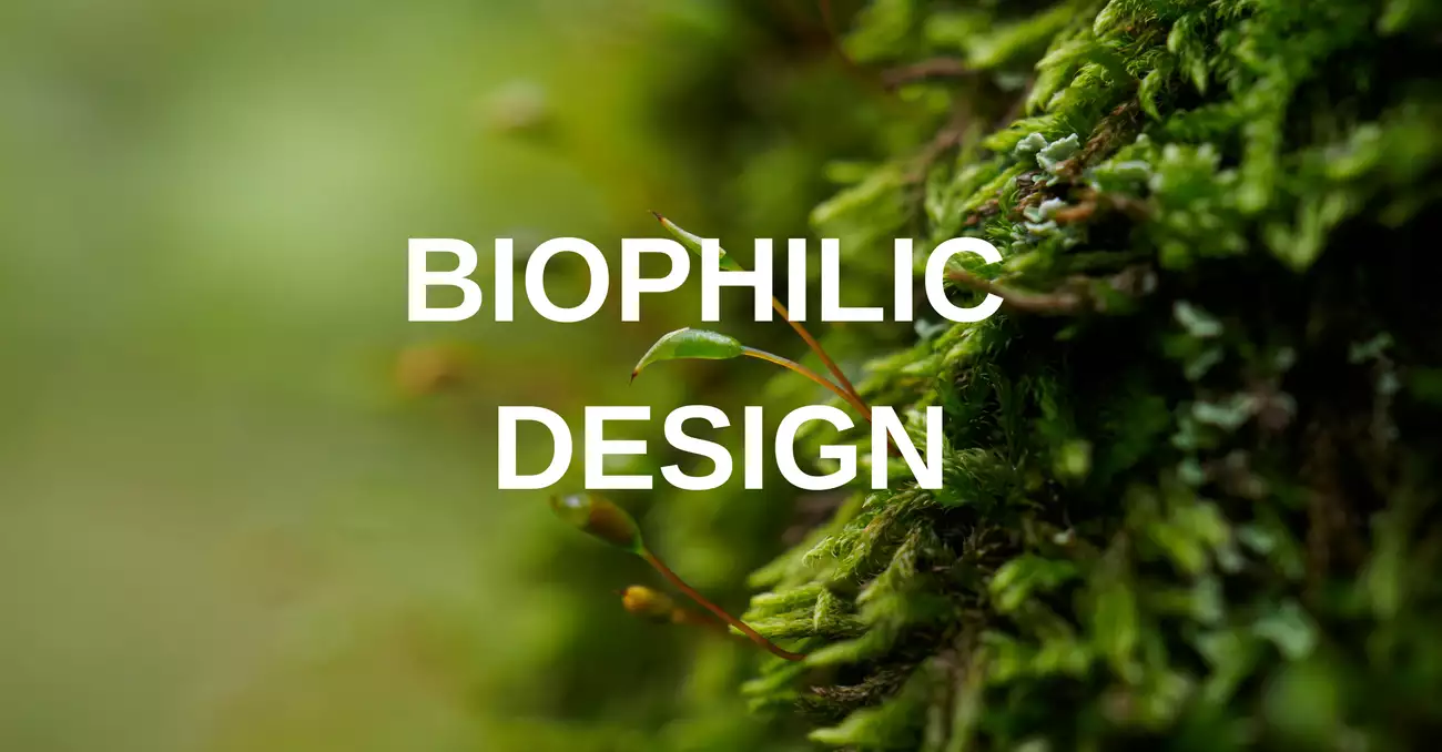 Biophilic design – jak wprowadzić naturę do wnętrza i czemu to działa?