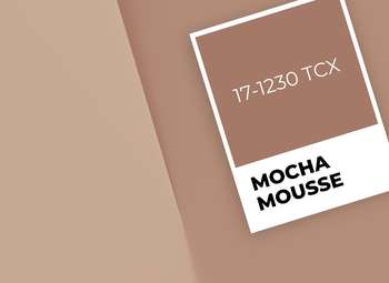 Blog - Kolor roku Pantone 2025 - Mocha Mousse (Pantone 17-1230)