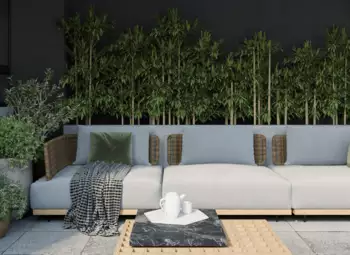 Blog - Zastosowanie biophilic design w nowoczesnych wnętrzach